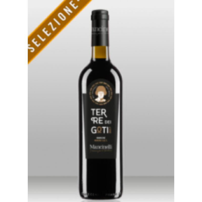 Stefano Mancinelli Terre dei Goti Marche Rosso